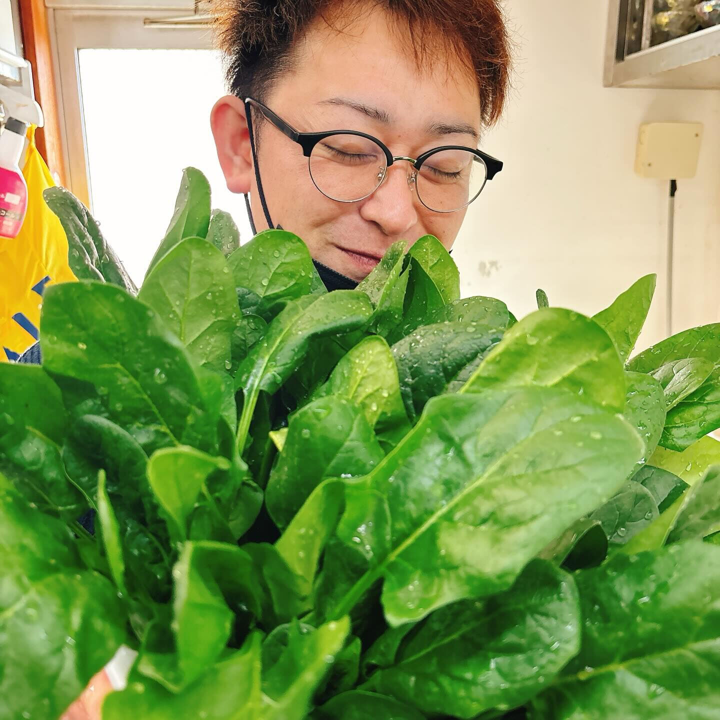 知り合いの農家さんが、うちの店のためにわざわざほうれん草を育
