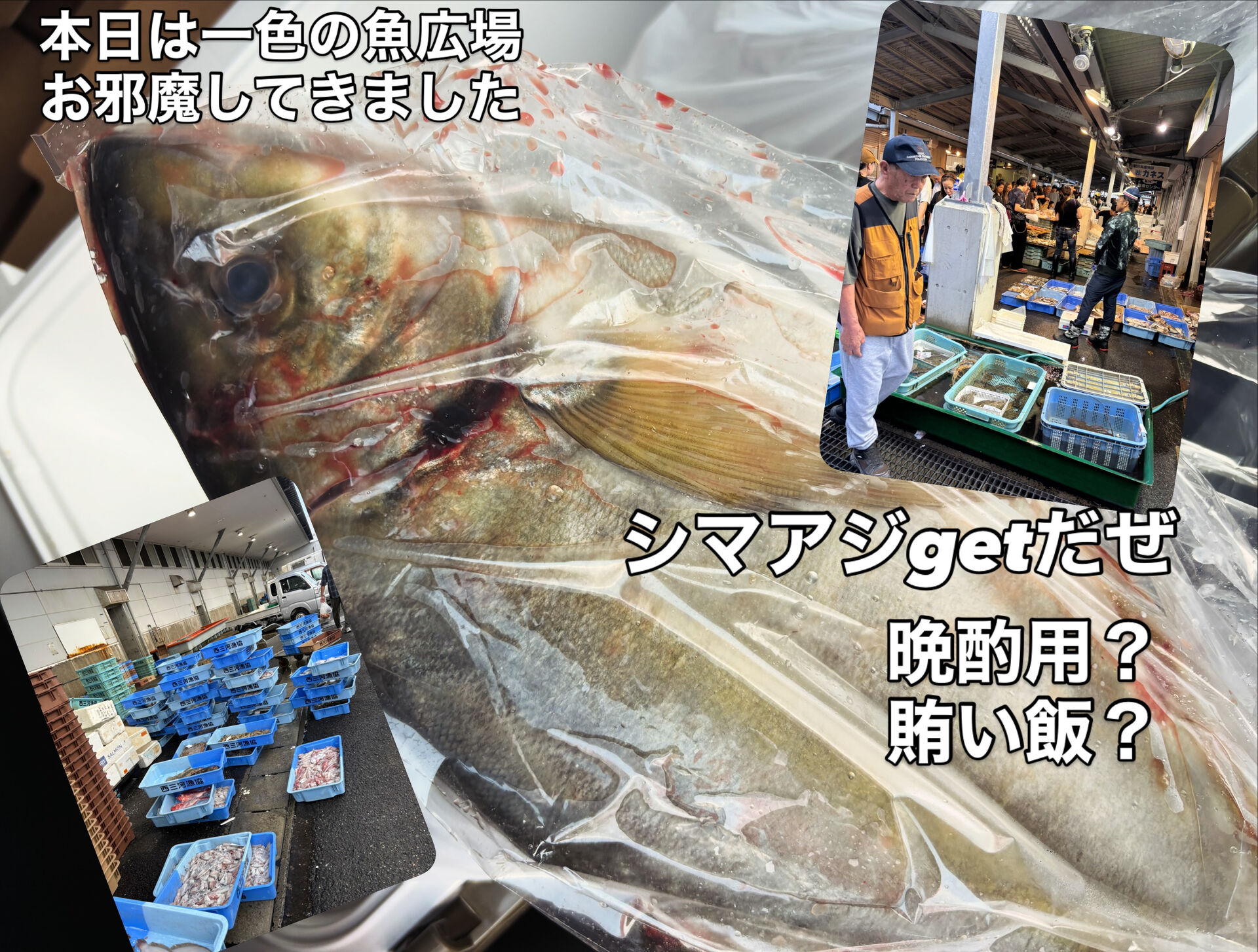 島焼肉岡崎店です